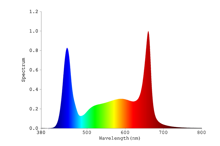 Full-Spectrum.jpg