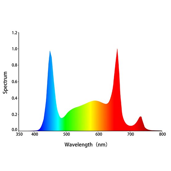 ezgif-3-7cf17bc50a.jpg