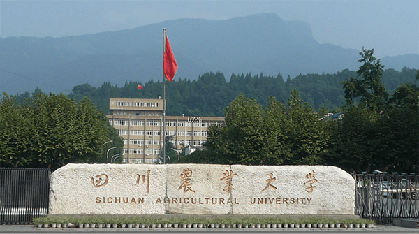Sichuan-Agricultural-University-image.png
