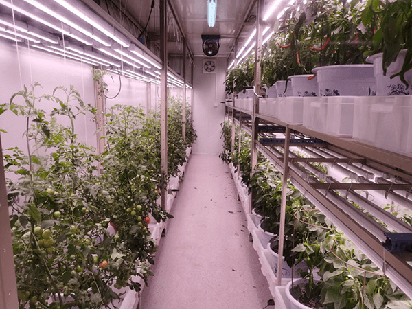 container-farming-image-1.png