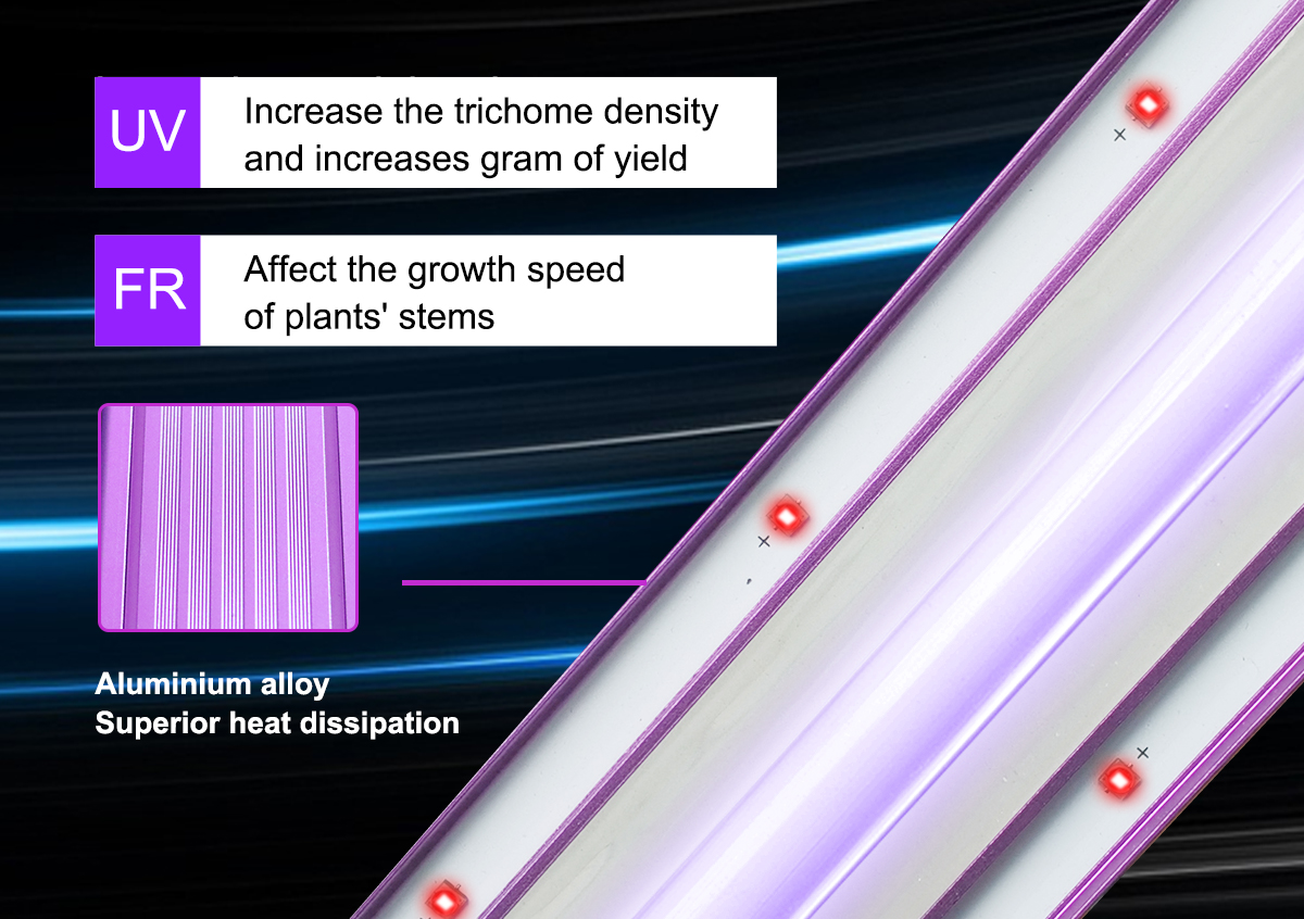 Flower light during flowering period