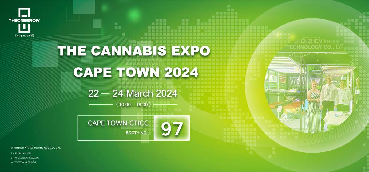 THE CANNABIS EXPO