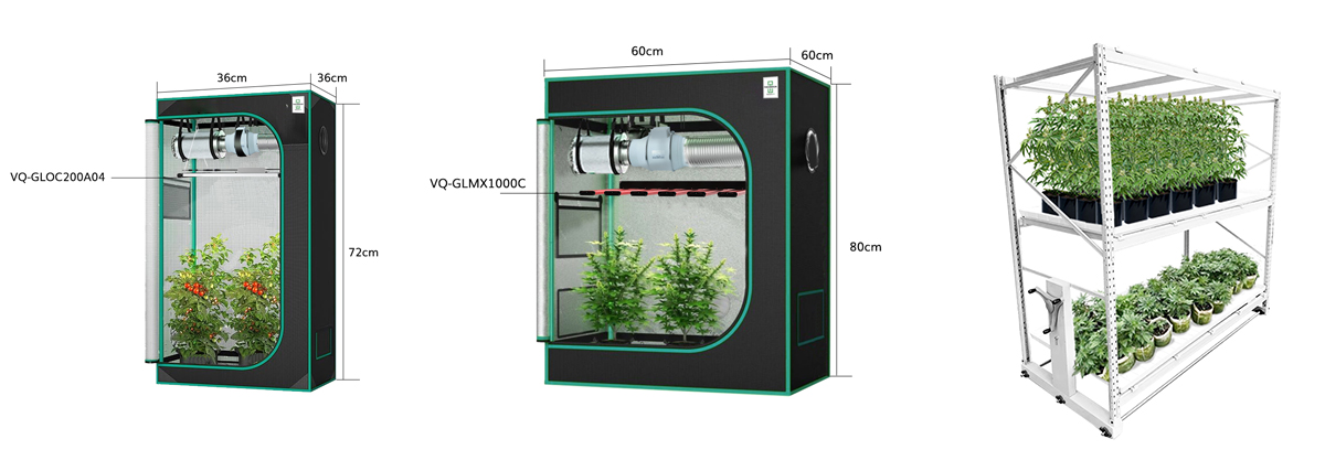 Cannabis cultivation ecosystem