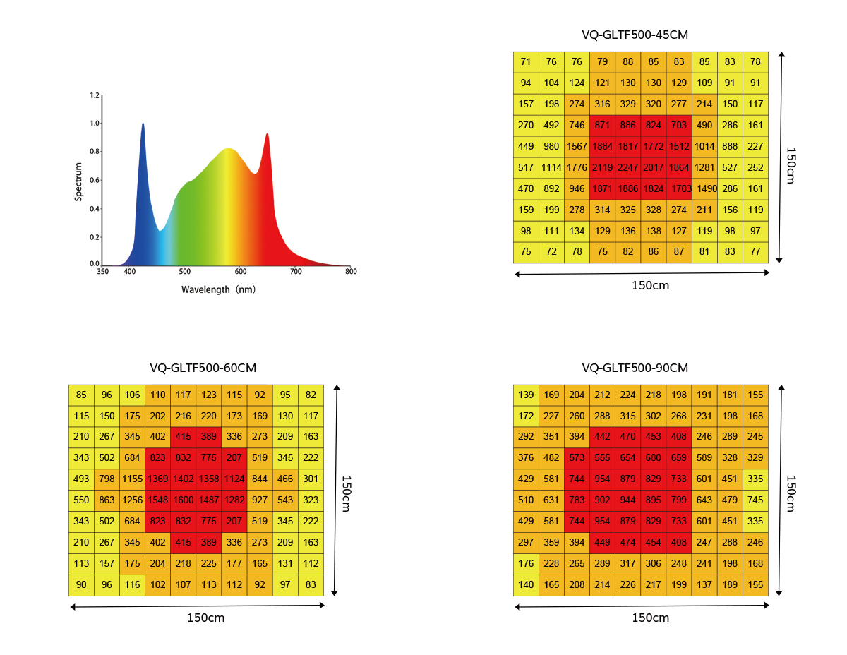 PPFD Distribution