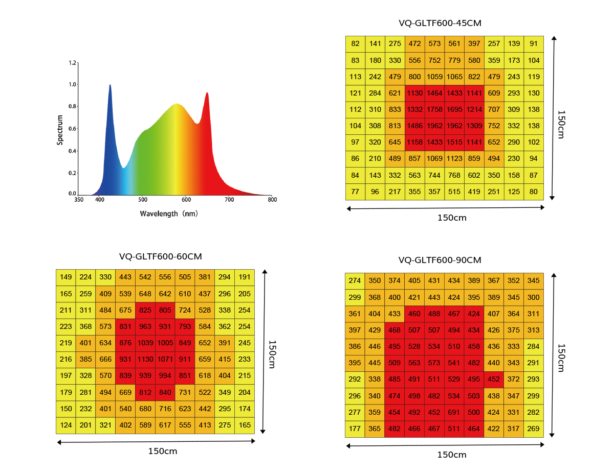 PPFD Distribution
