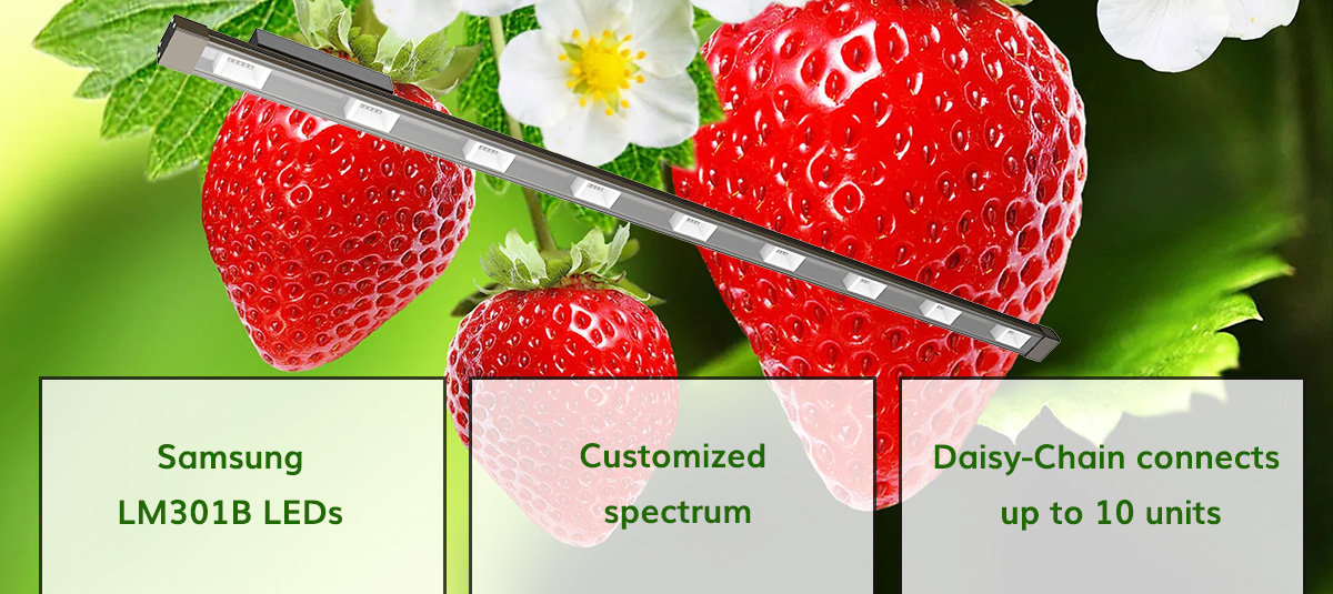 Waterproof 50Watt LED Tube Grow Light