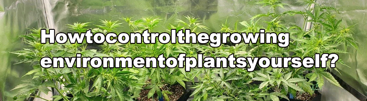 Control the growing environment of plants